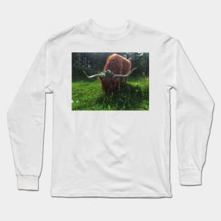 Scottish Highland Cattle Cow 2019 Long Sleeve T-Shirt